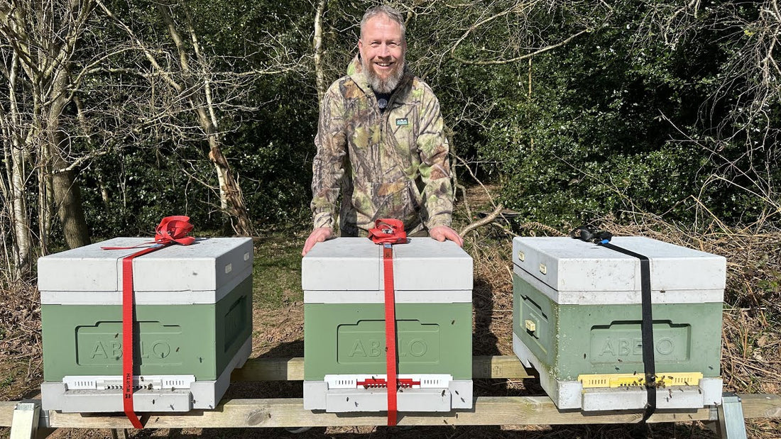 How to Beekeep in March