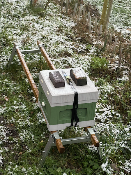 How to Ensure Your Bees Thrive Through the Cold Months