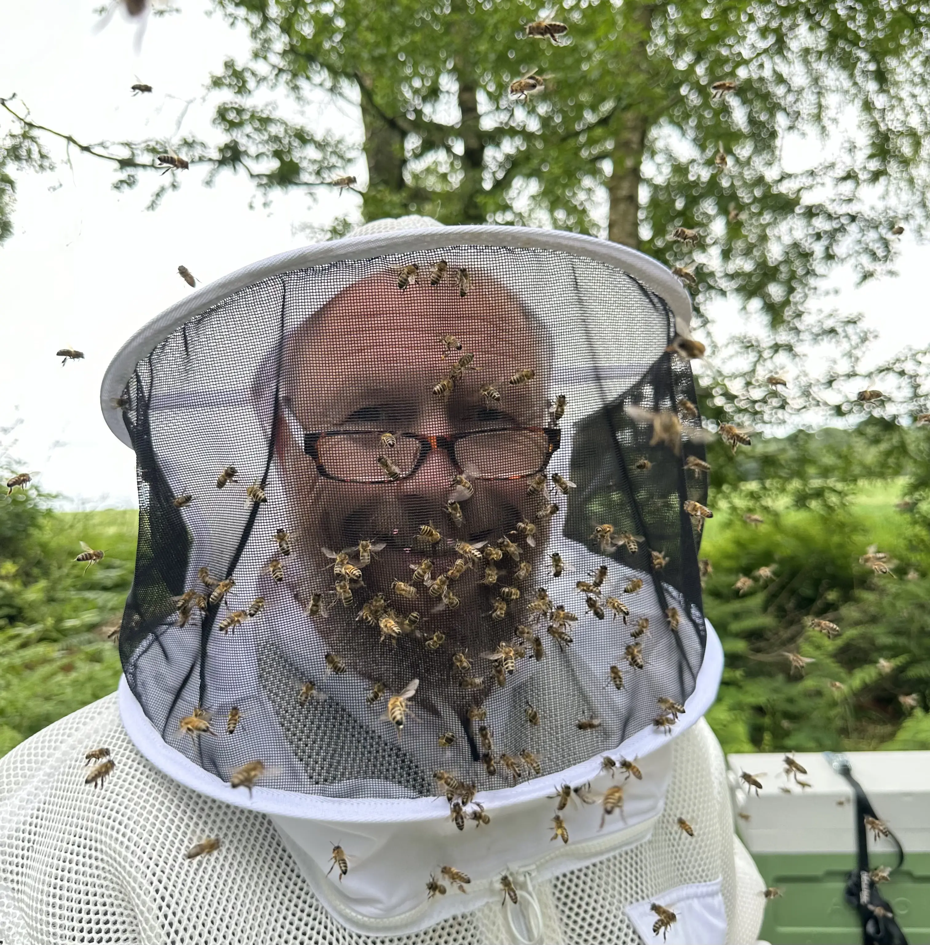 Paul tending to hives